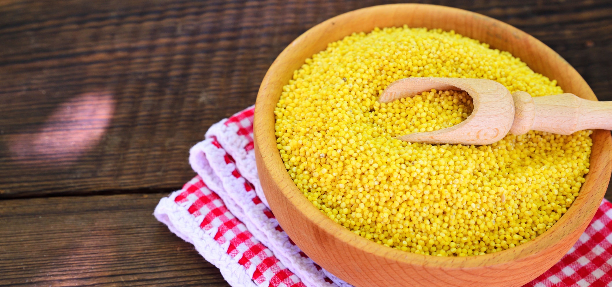 Millet o cereal com benefícios que provavelmente desconhece