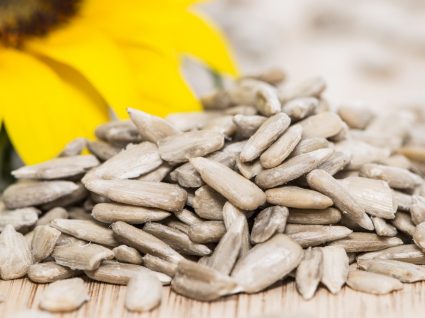 Os 6 principais benefícios das sementes de girassol