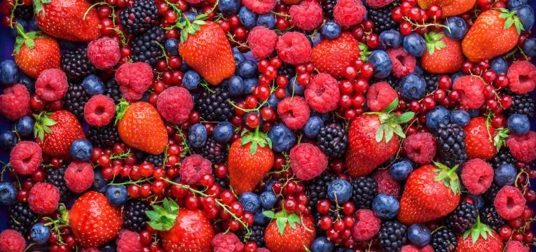 trabalhar sentado frutos vermelhos