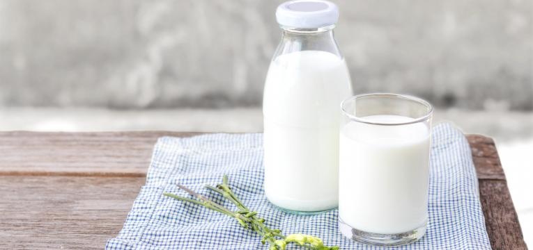alimentos que baixam o acido urico lacticinios