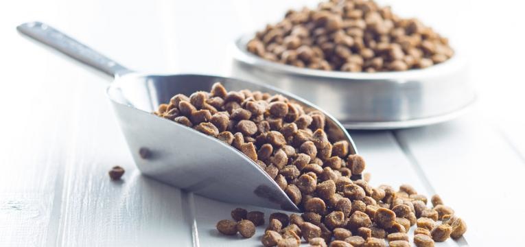 alimentacao saudavel do gato racao industrializada
