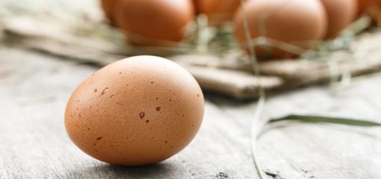 alimentos para nao sentir fome ovo com casca