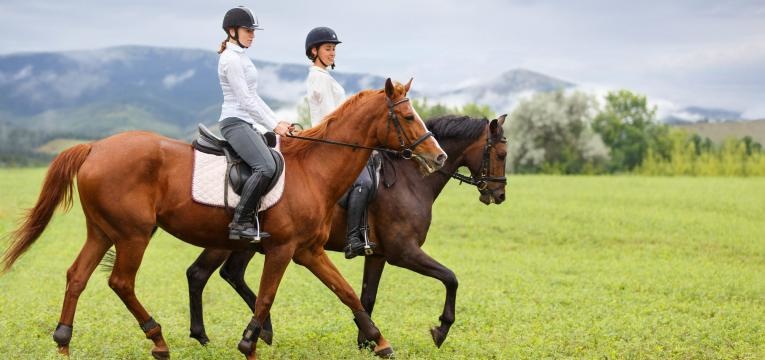 surpresas para o dia da mae passeio a cavalo