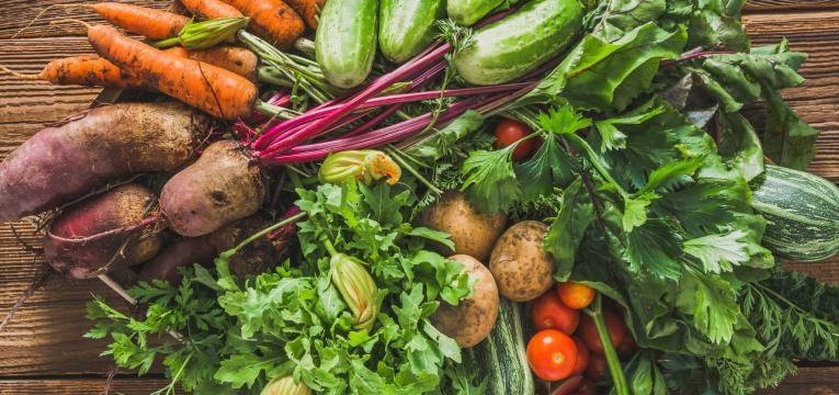dieta paleo produtos biologicos