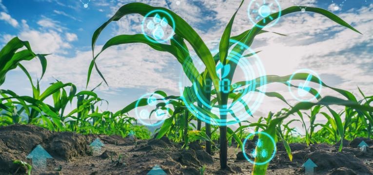 alimentos biologicos vantagens e desvantagens meio ambiente