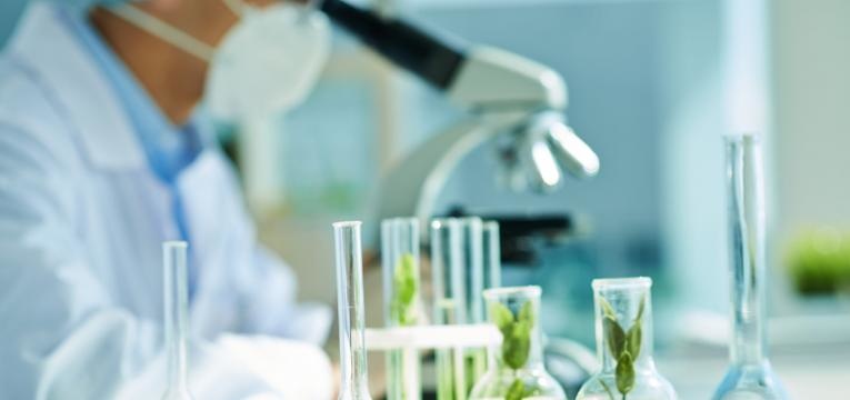 alimentos biologicos vantagens e desvantagens laboratorio pesticidas