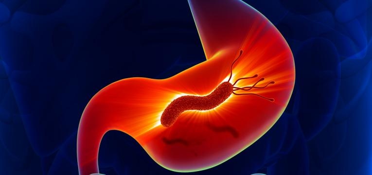 gastrite helicobacter pylori
