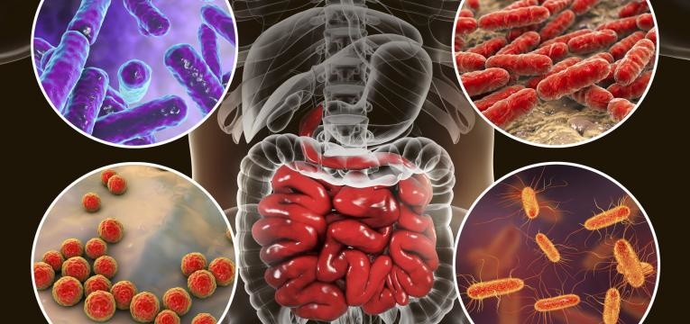 doenca de Crohn virus e bacterias intestinais