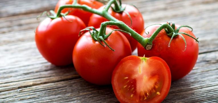 alimentos geneticamente modificados tomates em rama