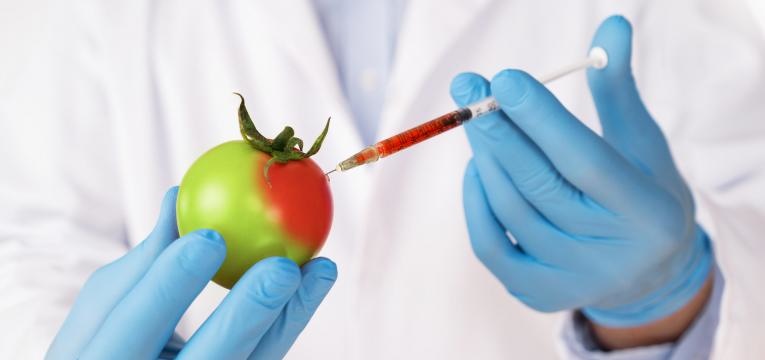 organismos geneticamente modificados alimentos geneticamente modificados