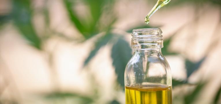 alimentos geneticamente modificados oleos vegetais