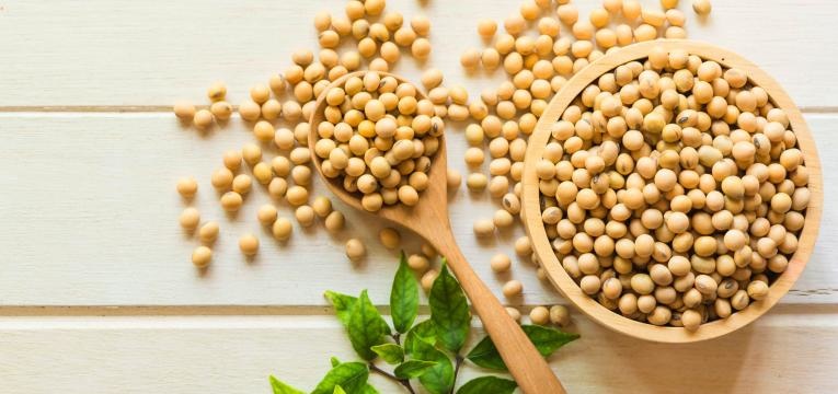 alimentos geneticamente modificados rebemtos de soja