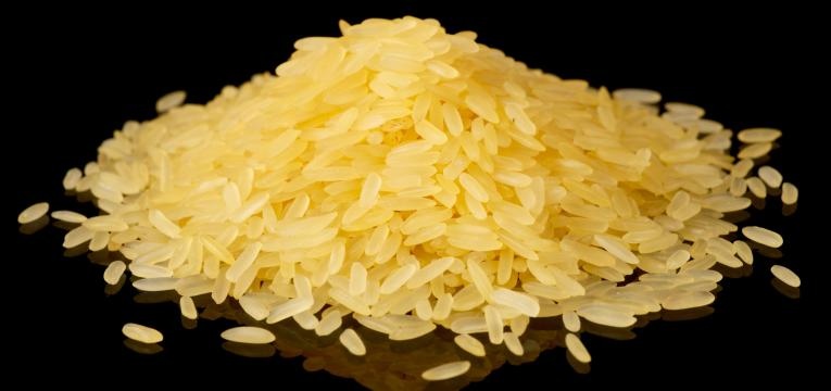 alimentos geneticamente modificados arroz dourado