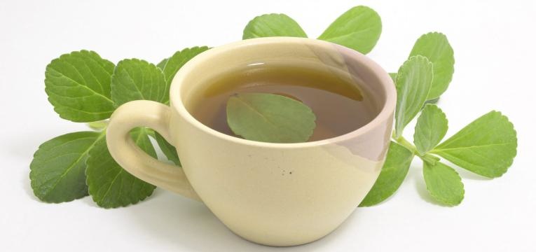 chavena cha de boldo