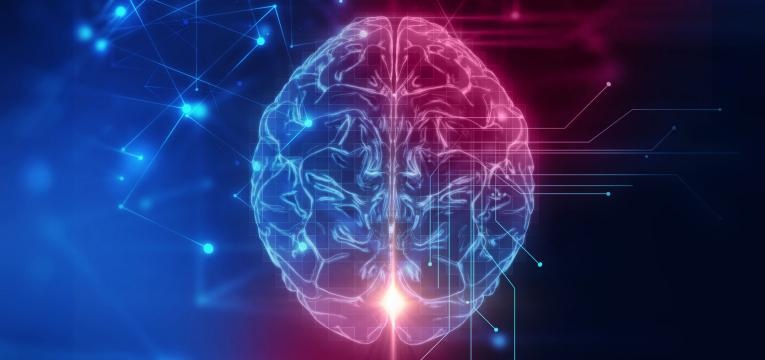 o que acontece ao nosso corpo quando deixamos de treinar e neural