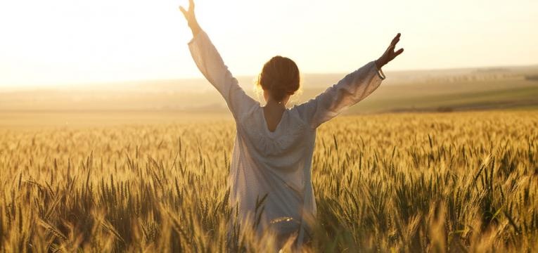 pessimismo e felicidade