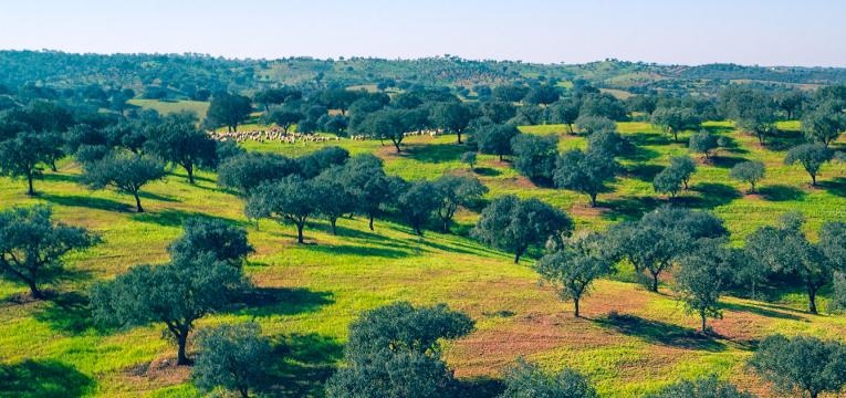 drone baixo alentejo