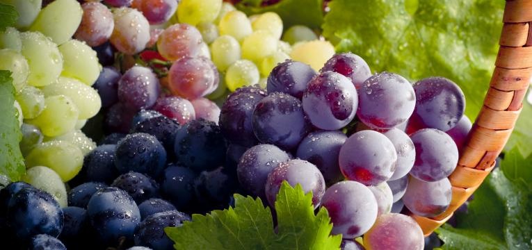 alimentos de outono e uvas de diferentes castas