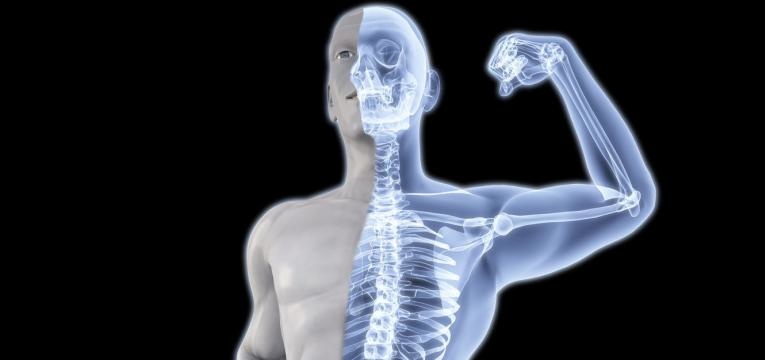 alimentos ricos em vitamina D e saude dos ossos e dentes