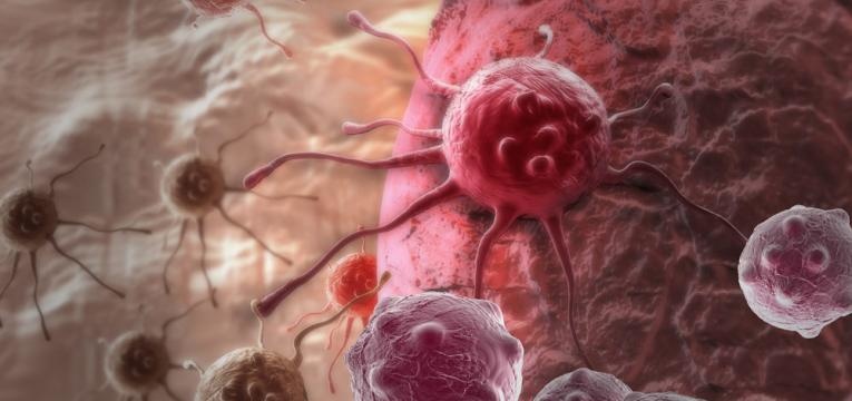 celulas cancerigenas
