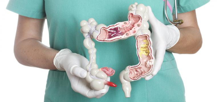 funcao intestinal