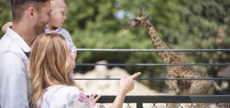 visitar o jardim zoologico e atividades para fazer com criancas nas ferias
