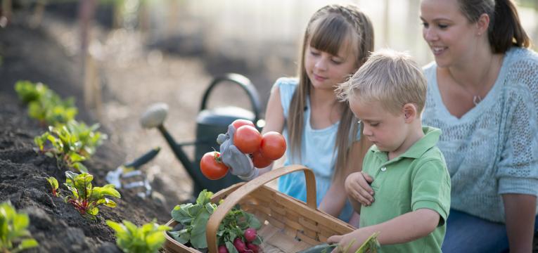 fazer uma horta biologica e atividades para fazer com criancas nas ferias