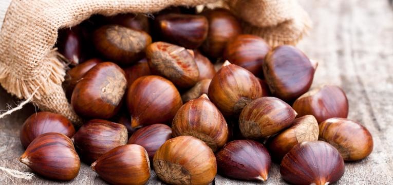 castanhas em saco de sarapilheira