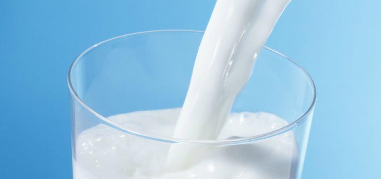 leite e derivados e metabolismo