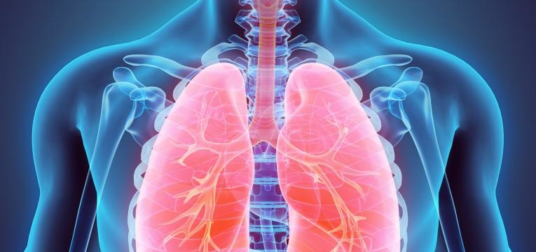 o que acontece ao nosso corpo quando deixamos de treinar e respiratorio