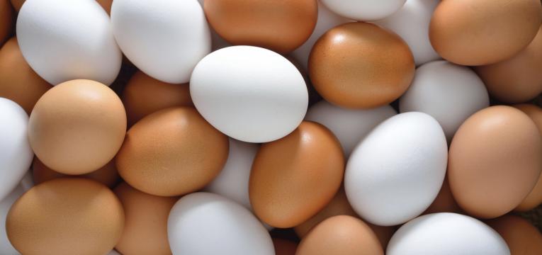 ovos tempo de congelação dos alimentos