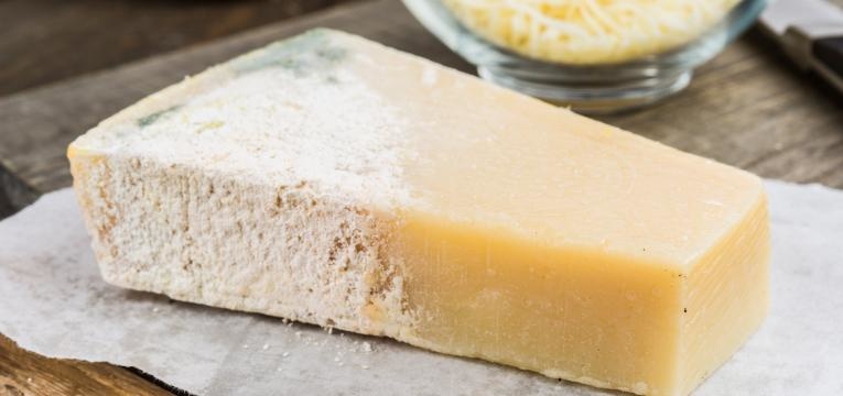 alimentos com bolor