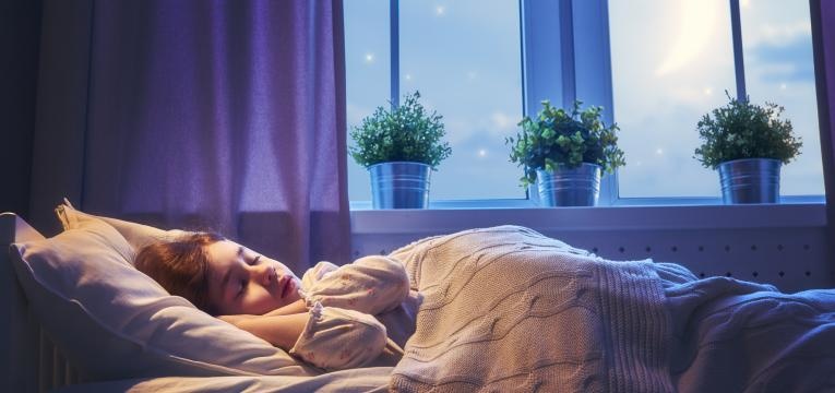 rotina diaria de dormir