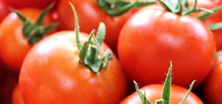 tomate