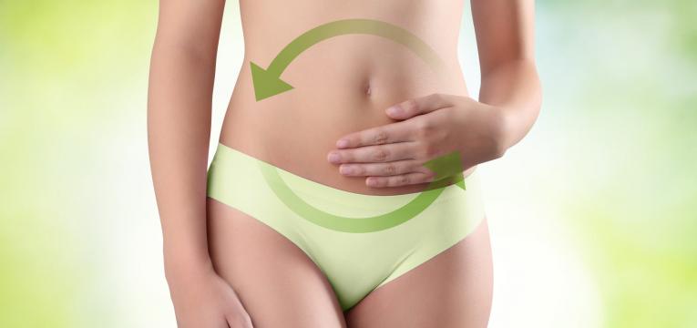 o que e o metabolismo
