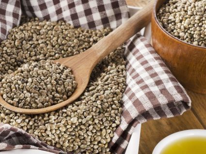 Sementes de cânhamo: o superalimento que faz jus ao nome