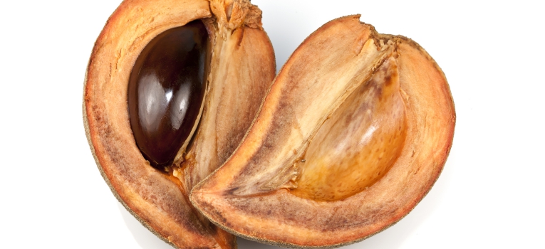 lucuma