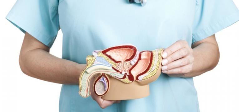 dor testicular