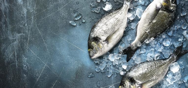 alergias alimentares mais comuns na infancia peixe no gelo