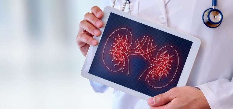proteína em excesso faz mal aos rins