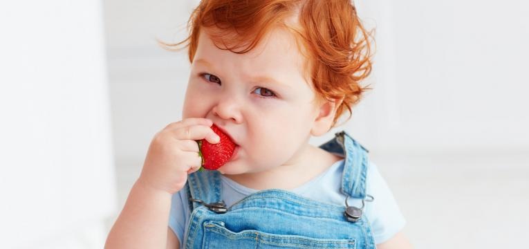 alimentos que provocam alergias alergia alimentar