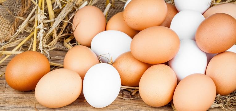 alergias alimentares mais comuns na infancia ovos inteiros com casca