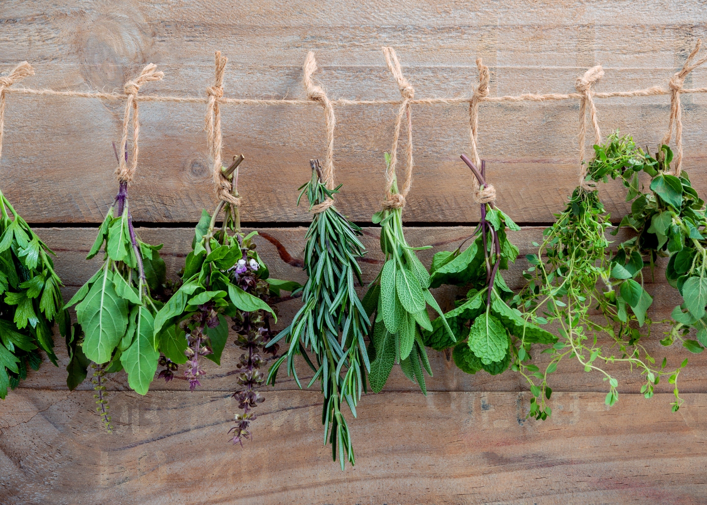 diferentes tipos de ervas aromáticas penduradas numa corda